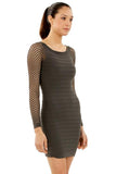 Mesh Long Sleeve Seamless Dress