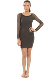 Mesh Long Sleeve Seamless Dress