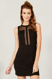 See Through Me Dress